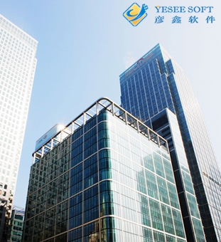 上海彦鑫信息科技有限公司